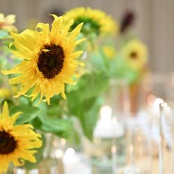 TRUNK HOTELの写真35枚目