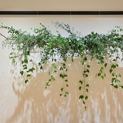 TRUNK HOTELの写真5枚目