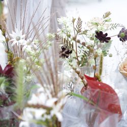 エネコ東京の写真30枚目