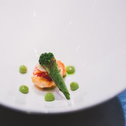 エネコ東京の写真19枚目