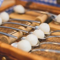 エネコ東京の写真6枚目