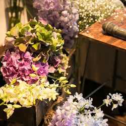 マンダリンポルトの写真21枚目