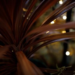 ザ・ガーデンオリエンタル大阪の写真11枚目