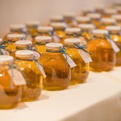 ラグナヴェール 金沢の写真15枚目