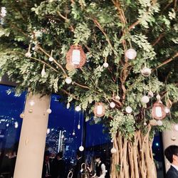 SOLA KOBEの写真20枚目