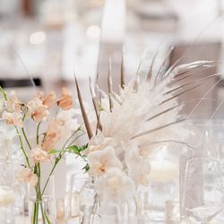 SOLA KOBEの写真31枚目