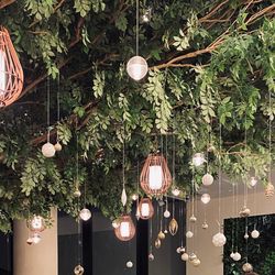 SOLA KOBEの写真3枚目