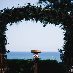 ラフィーノオーシャンの写真33枚目