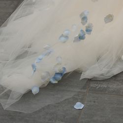 SOLA KOBEの写真22枚目