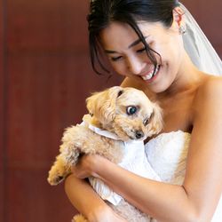 岩崎台倶楽部グラスグラスの写真26枚目