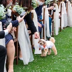 岩崎台倶楽部グラスグラスの写真7枚目