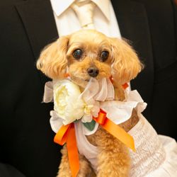 岩崎台倶楽部グラスグラスの写真8枚目