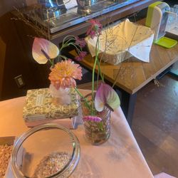 Mia Viaの写真3枚目