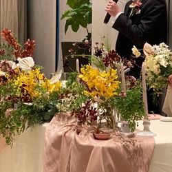 Mia Viaの写真24枚目