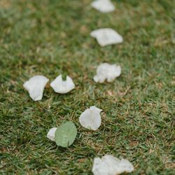 アラマンダ　チャペル の写真10枚目