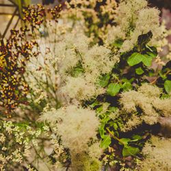 赤坂プリンス クラシックハウスの写真35枚目