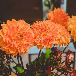 赤坂プリンス クラシックハウスの写真27枚目