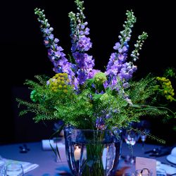 パレスホテル東京の写真10枚目