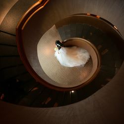 パーク ハイアット 東京の写真5枚目