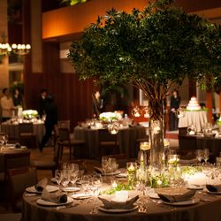 パーク ハイアット 東京の写真12枚目