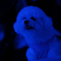 ルミエランジェ・ガーデンの写真8枚目