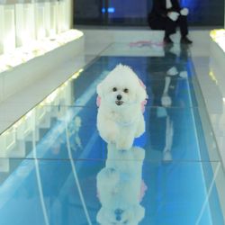 ルミエランジェ・ガーデンの写真1枚目