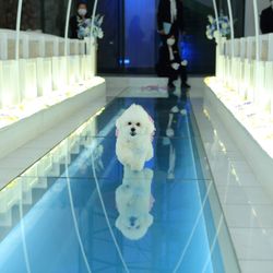 ルミエランジェ・ガーデンの写真3枚目