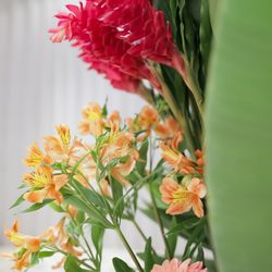 アルタビスタ ガーデンの写真31枚目