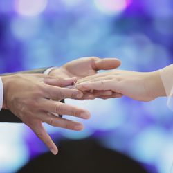 アルタビスタ ガーデンの写真17枚目