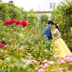 シェラトン・グランデ・トーキョーベイ・ホテルの写真23枚目