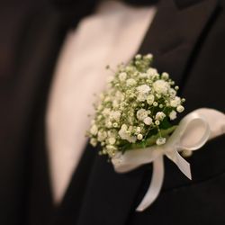 ザ クラブ オブ エクセレント コーストの写真33枚目