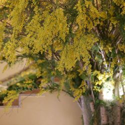 星野リゾート 軽井沢ホテルブレストンコートの写真36枚目