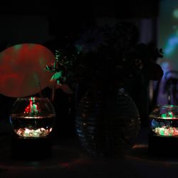 NIHOの写真18枚目