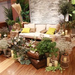 NIHOの写真2枚目