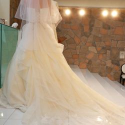 NIHOの写真31枚目