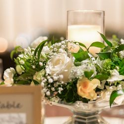 ルーキスの写真17枚目