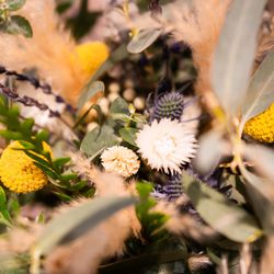 ルーキスの写真27枚目