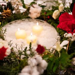 ルーキスの写真14枚目