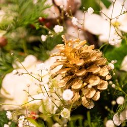 ルーキスの写真7枚目