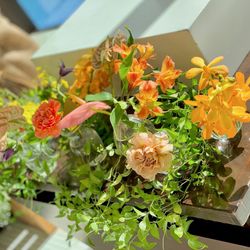 ララシャンス 博多の森の写真32枚目