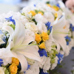 ララシャンス 博多の森の写真4枚目