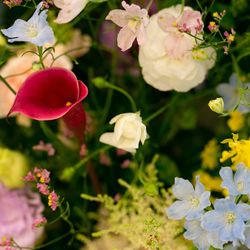 アニバーサリー アン 恵比寿の写真24枚目