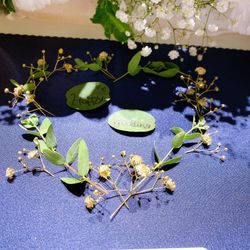 Fish Bank TOKYOの写真10枚目