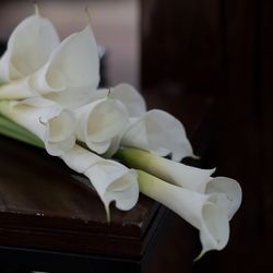 ザ ソウドウ 東山 京都の写真25枚目