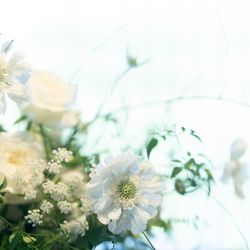 ザ ソウドウ 東山 京都の写真28枚目