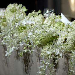 パレスホテル東京の写真4枚目