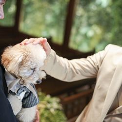 アーセンティア迎賓館 大阪の写真12枚目