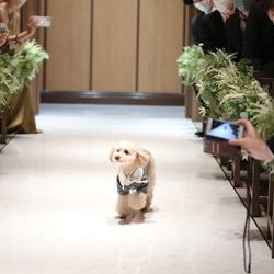 アーセンティア迎賓館 大阪の写真30枚目