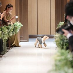 アーセンティア迎賓館 大阪の写真32枚目