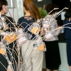 アートグレイス ウエディングコースト 東京ベイの写真12枚目